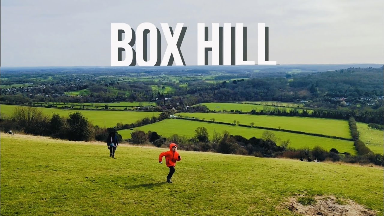 Nice Trail In Box Hill, Surrey