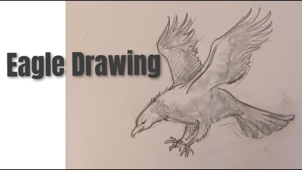 Eagle Drawing  #art #drawing#sketch#eaglesketch#youtube #youtubeshorts #artwork #viral #viralvideo