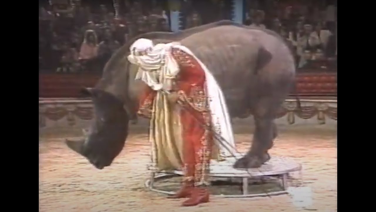 L'esotico di Heros Casartelli a Sabato al Circo (1989)