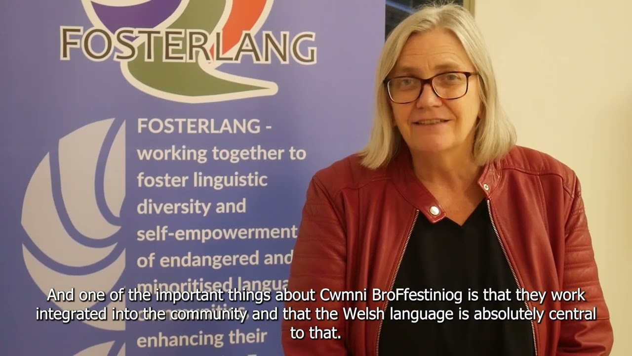 The Welsh Case &ndash; European Grassroots Projects for Minoritised Language Promotion
