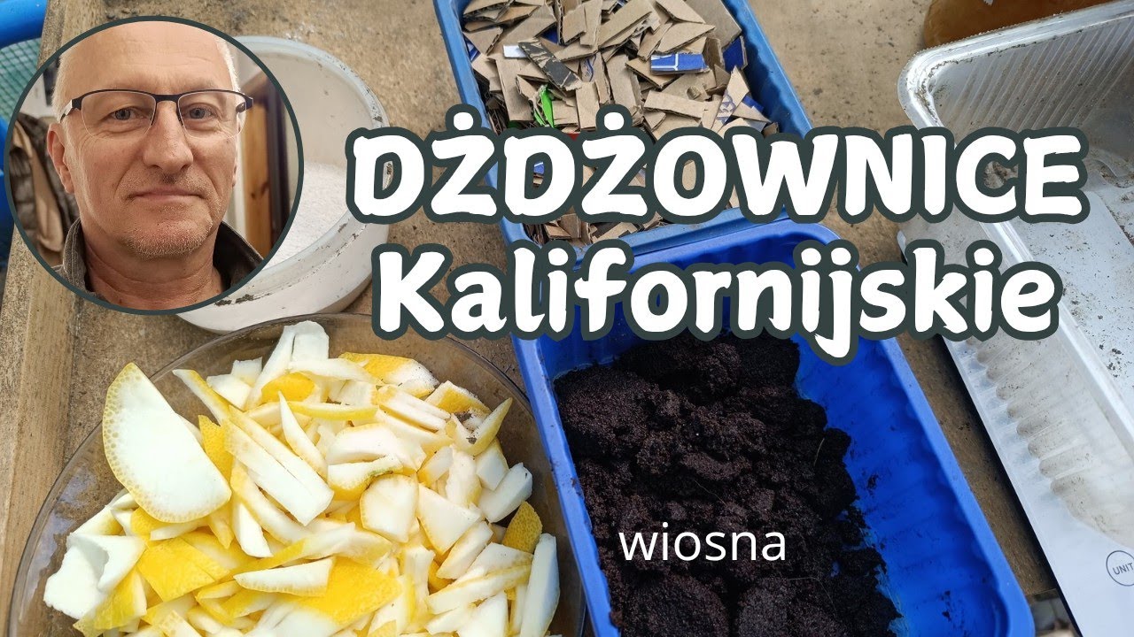 Cytryny i inne ...  Przepis na bezpieczną mieszankę.