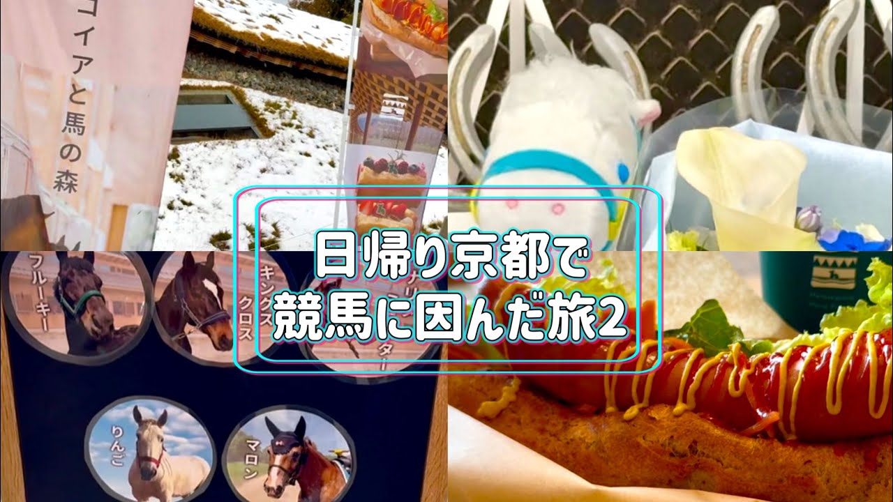 🐎メタセコイアの森への🚃での行き方とその様子｜是非！馬の森へ🌳