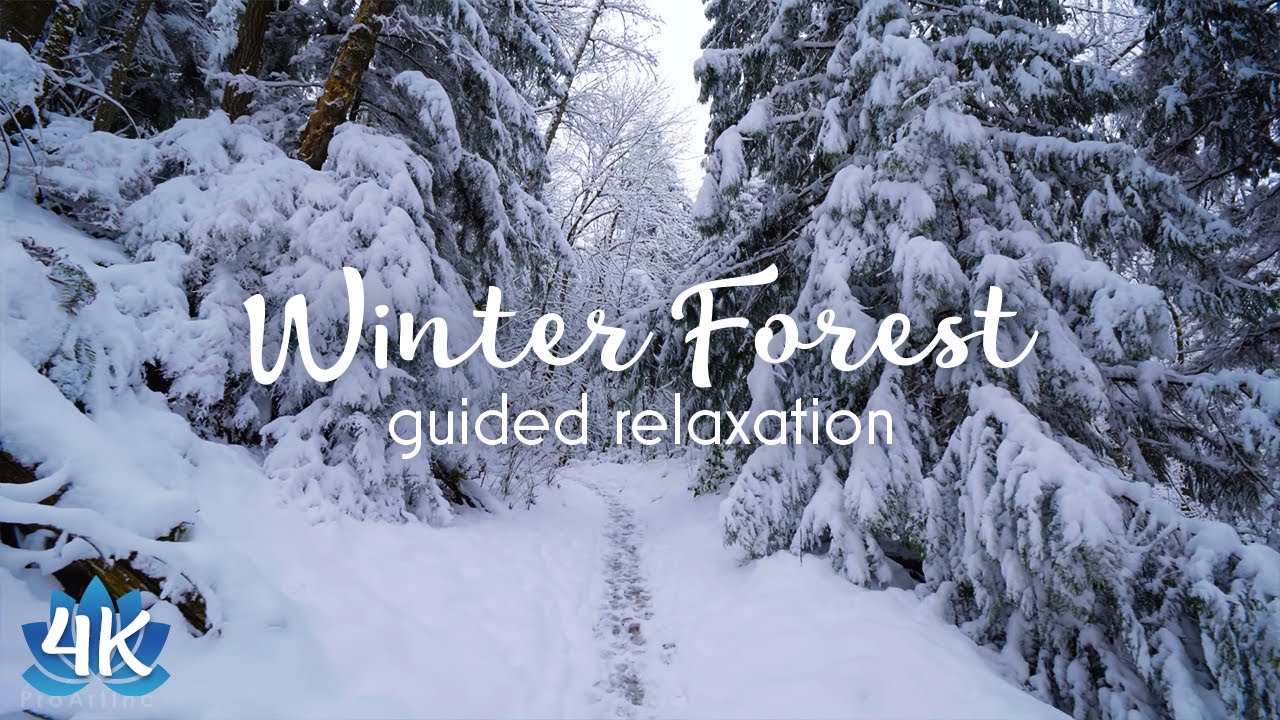 Deep Relaxation & Stress Relief | Emotional Healing | Winter Forest Walk: Guided Visualization Story