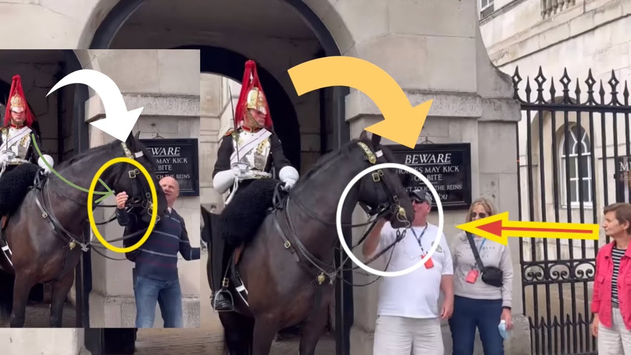 UNBELIEVABLE Moment! Disrespectful Tourist hit the king’s guard’s horse by his hand!