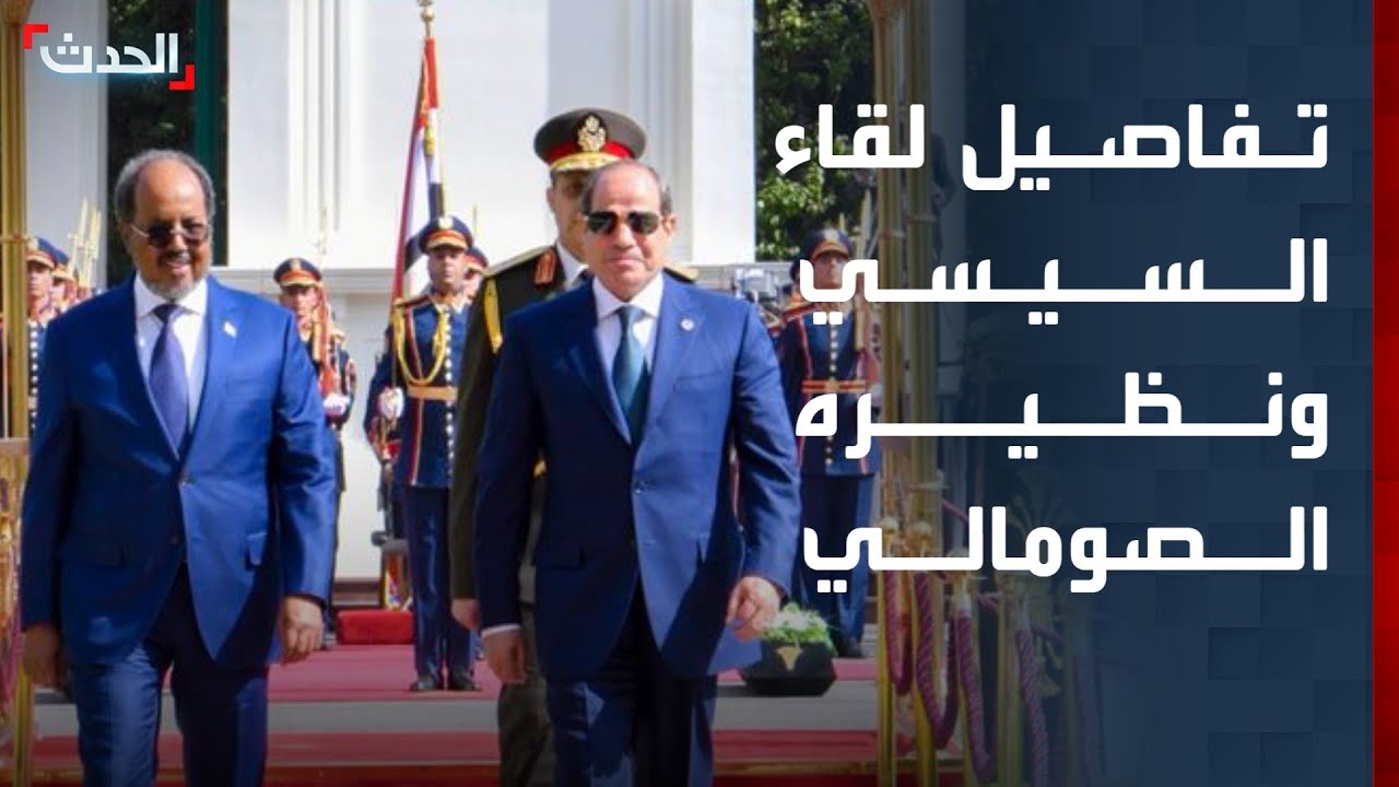 نائب: لقاء السيسي ونظيره الصومالي تناول أوجه التعاون العسكري وأمن البحر الأحمر