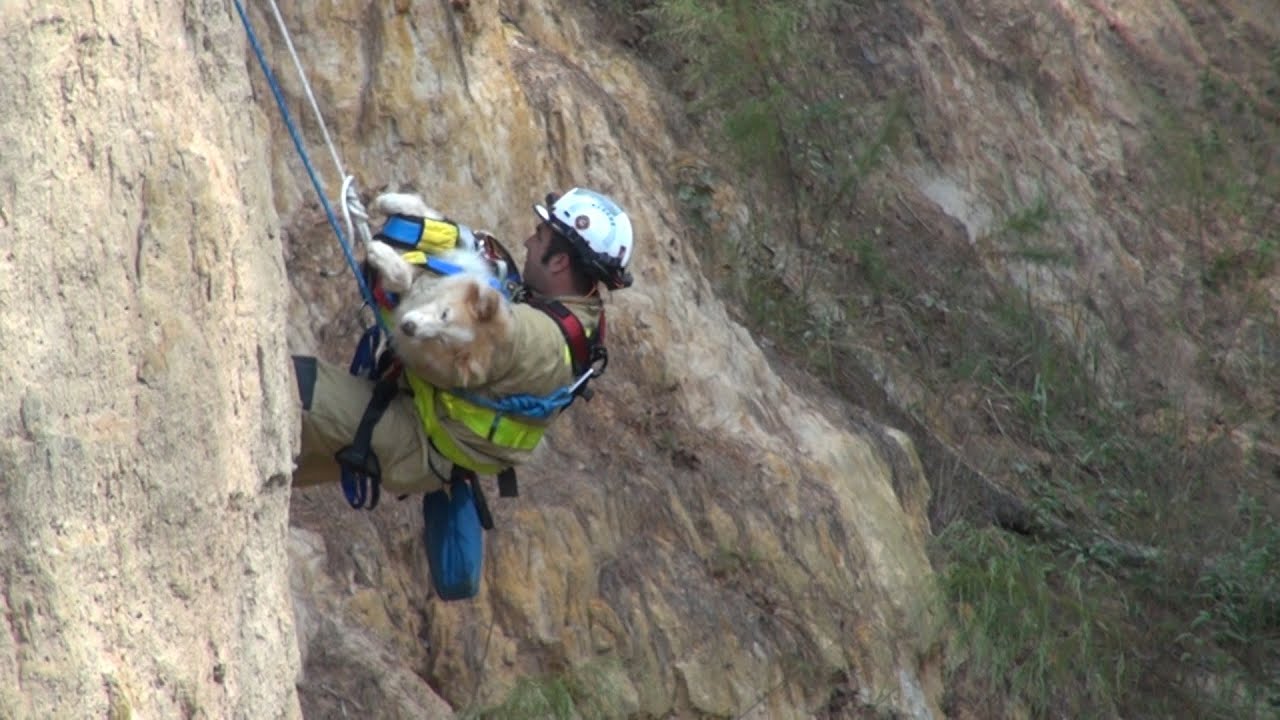 101820 MAN AND DOG RESCUED FROM 50 FOOT RAVINE MCPR
