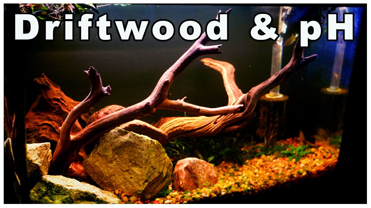 Does Driftwood Lower Aquarium pH?