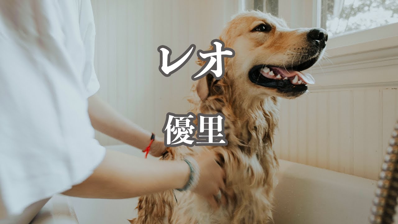 【カラオケ】レオ - 優里【オフボーカル】