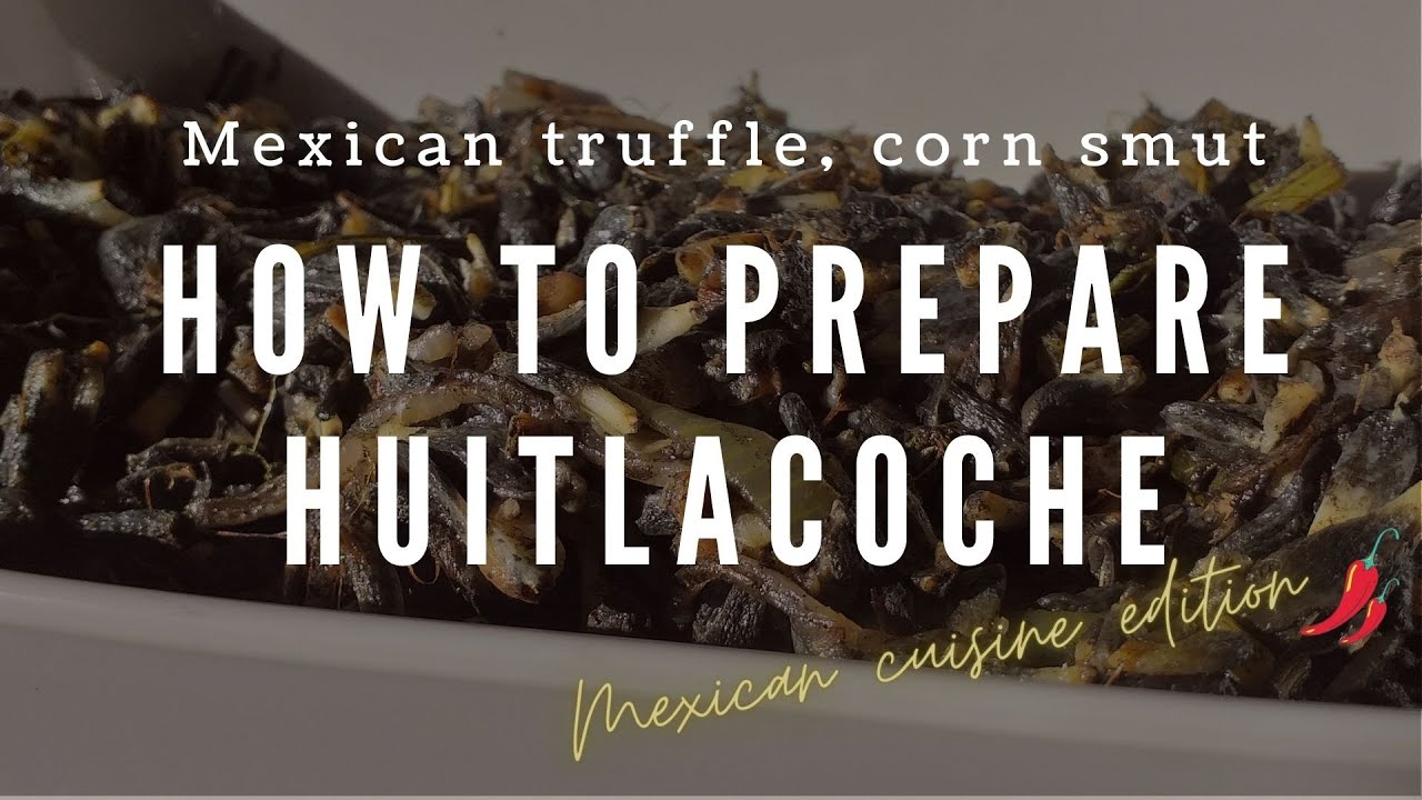 HOW TO PREPARE HUITLACOCHE / mexican truffle, corn smut