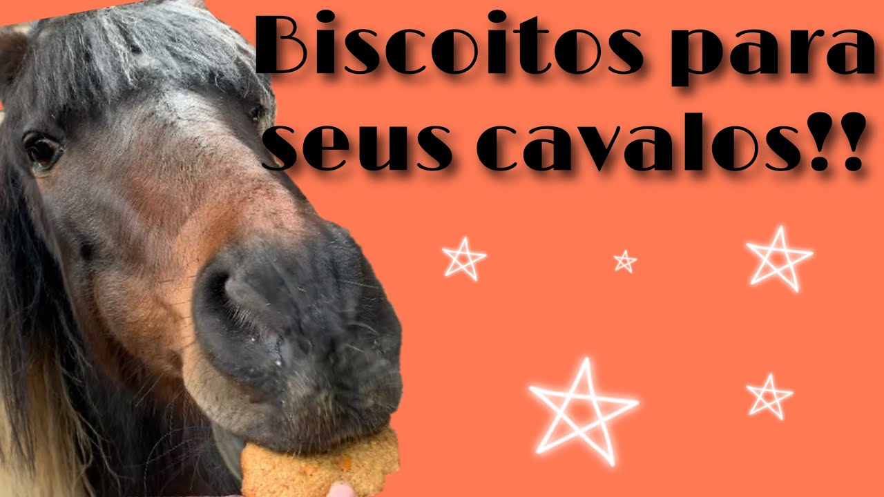 Como fazer biscoito para cavalo!!!🍪🐴