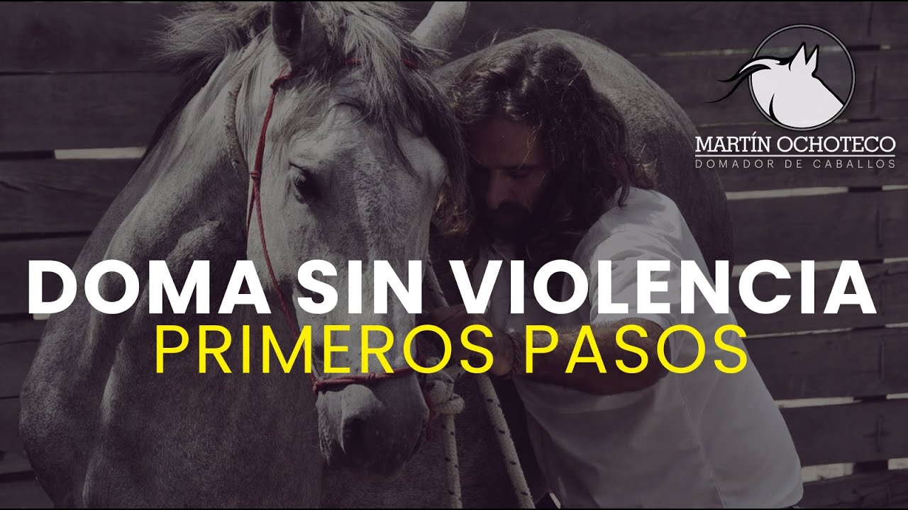 PRIMEROS PASOS de una  DOMA SIN VIOLENCIA - MARTÍN OCHOTECO