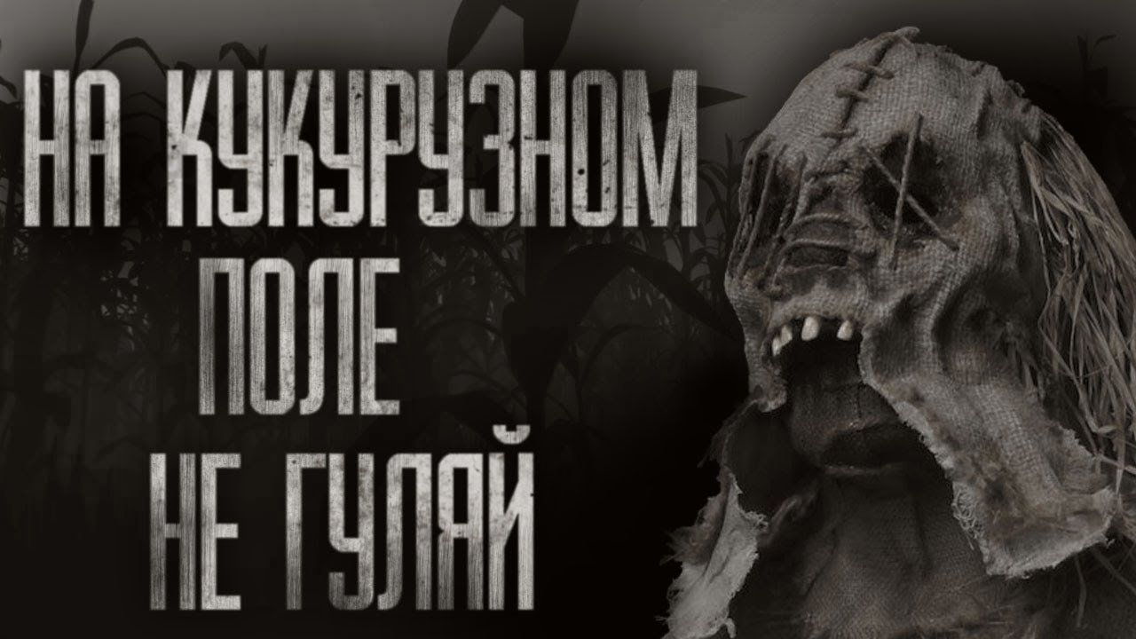 НА КУКУРУЗНОМ ПОЛЕ НЕ ГУЛЯЙ... Страшные истории на ночь