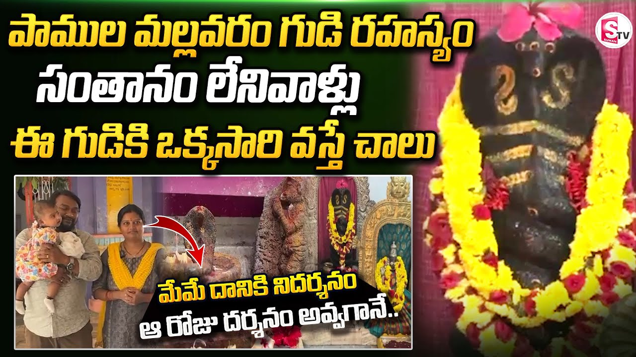 పిల్లలు లేని వారు ఒకసారి వెళితే చాలు |  Sri Subrahmanyeswara Swamy Temple | Pamula Mallavaram