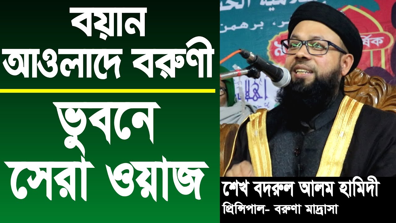 বি বাড়িয়ার সেরা ওয়াজ | শায়খ বদরুল আলম হামিদী | Sheikh bodrul alom hamidi