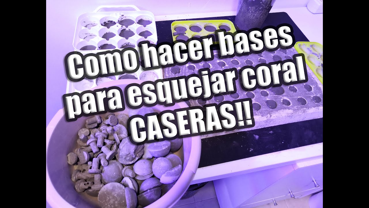 Bases caseras para esquejar coral! DIY Coral plug