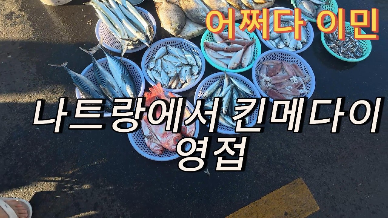 나트랑에서 금눈돔(킨메다이)을 만나다 !!