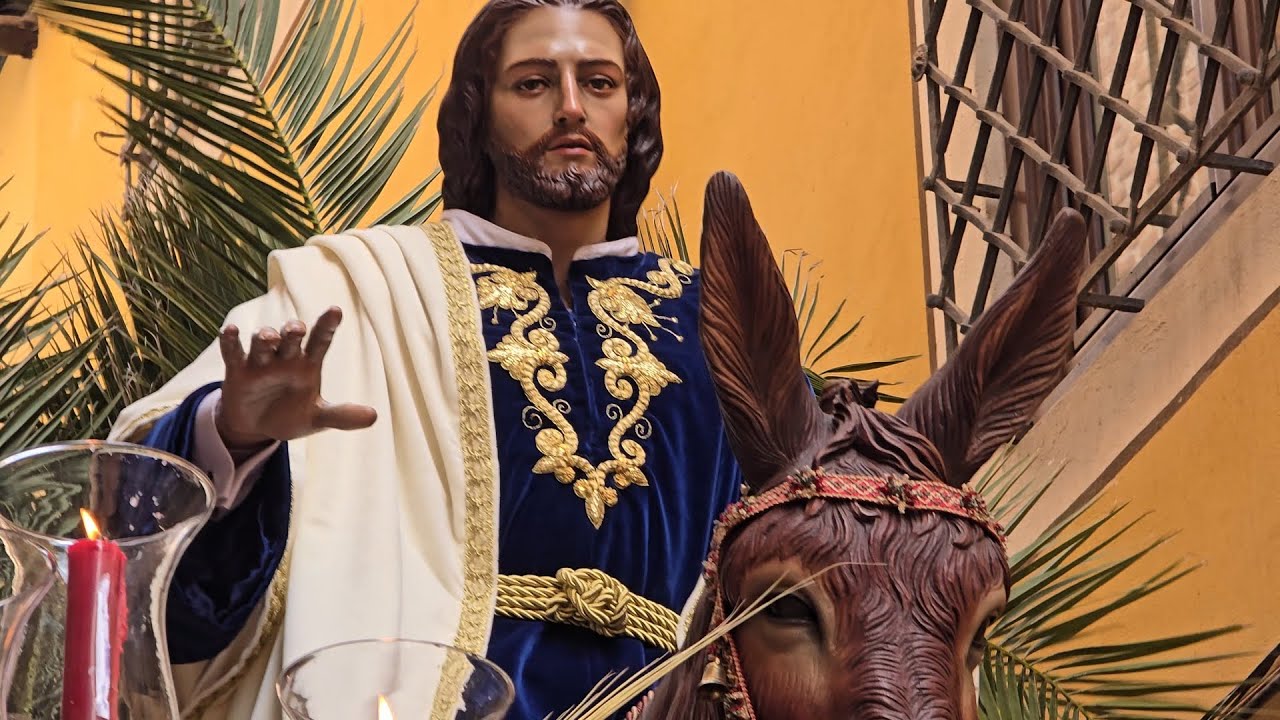 Domingo de Ramos Procesión de la Borriquita 2025