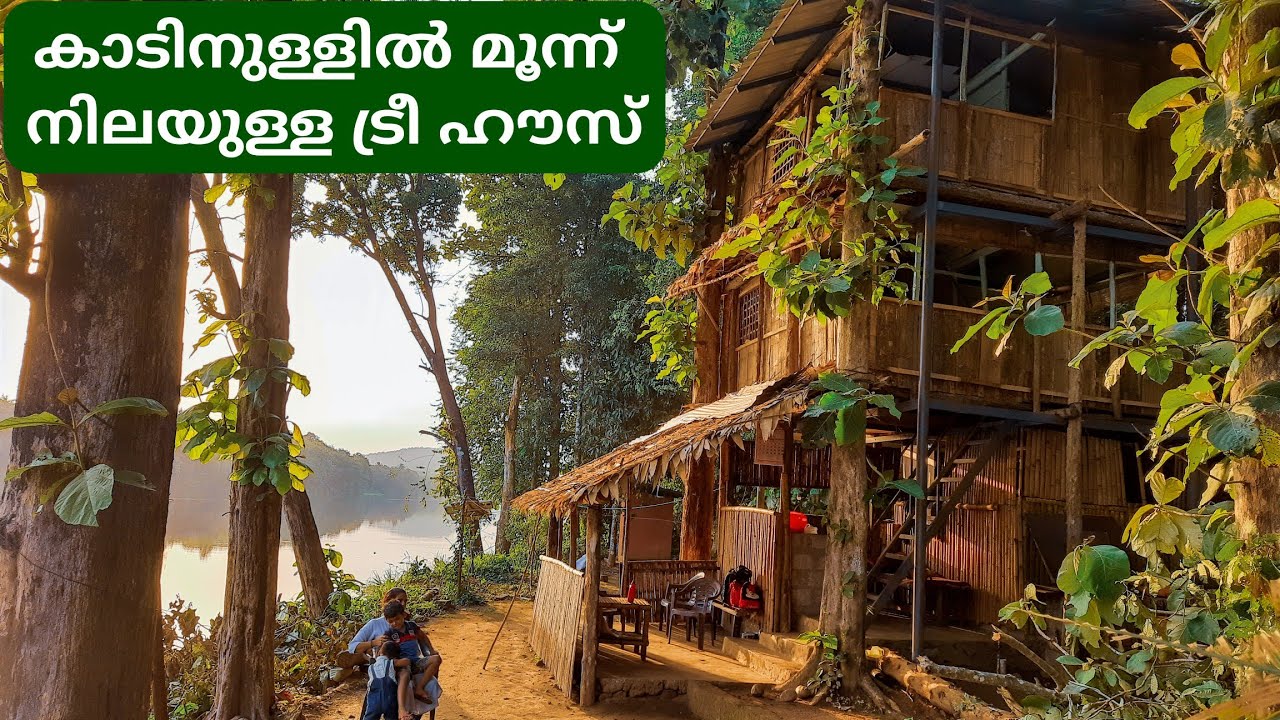 2500 രൂപക്ക് കാടിനുള്ളിലെ മൂന്ന് നിലയുള്ള ട്രീ ഹൗസിൽ | Thattekkad Tree House Stay | DotGreen