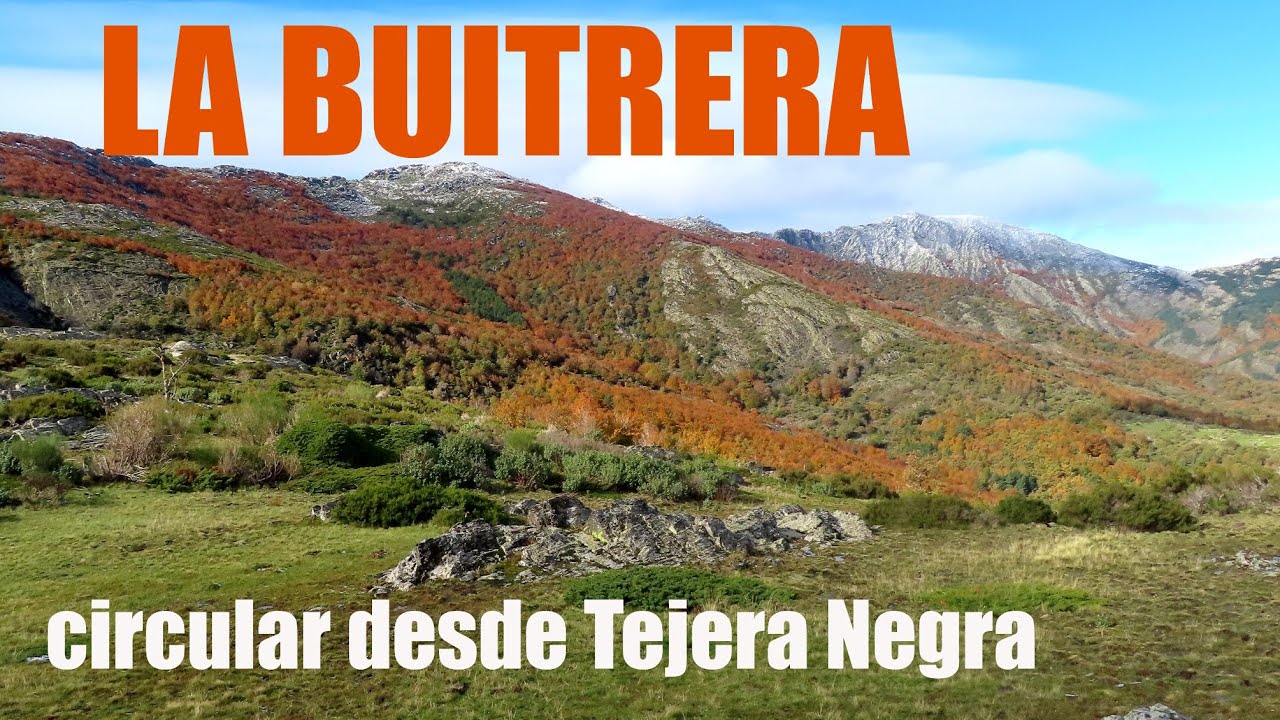 BUITRERA CIRCULAR DESDE TEJERA NEGRA | SIERRA DE AYLL&Oacute;N-GUADALAJARA