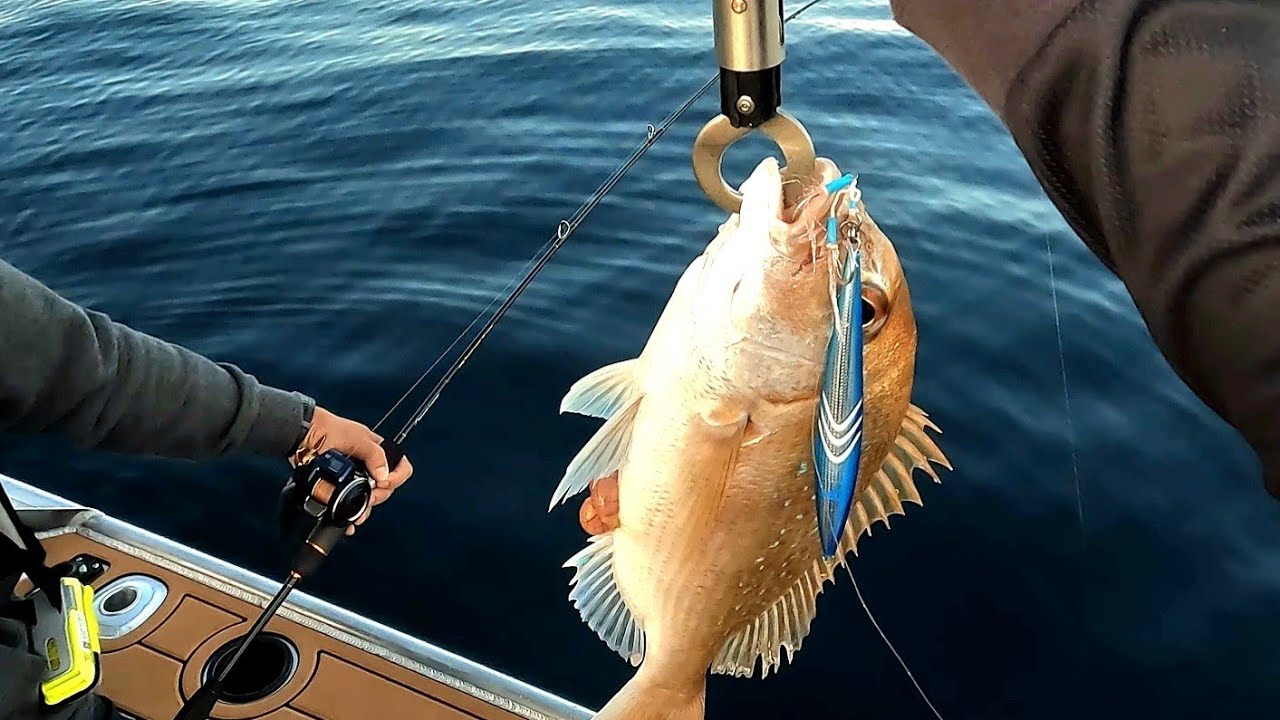 Learning Slow Pitch Jigging with @FishoDavo & Joel Snapper Catch & Cook