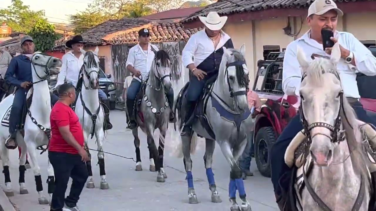 Langue Valle desfile de Caballos FETRALAN 2023