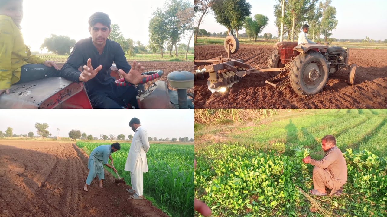 Ek Kisan ki Zindagi 🌴 Village Life Routine || Shajaat Pendu 