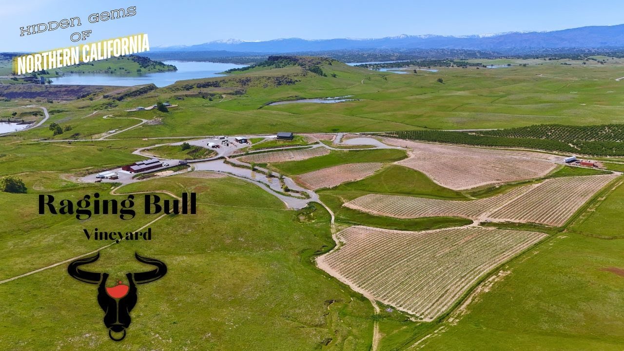 Hidden Gems of NorCal: Raging Bull Vineyard