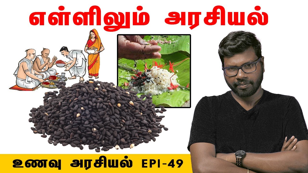 The Fascinating History of Seasame | எள்ளின் கதை | Unavu Arasiyal | Big Bang Bogan