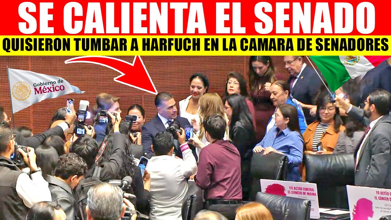 🚨MIRA: ASI BUSCABAN TUMBAR A HARFUCH EN EL SENADO, LOS DEJO BOCA ABIERTA CON ESTO, MIRA