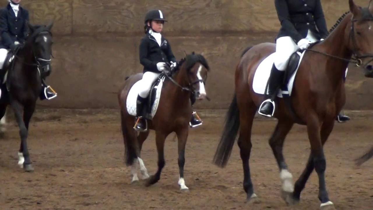 Carrousel demonstratie Manege Hooidonk