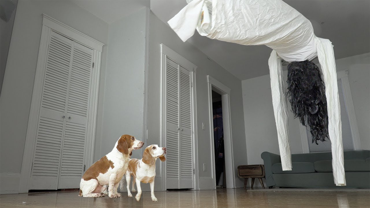 What To Do If You Find a Giant Ghost Hanging from Your Ceiling