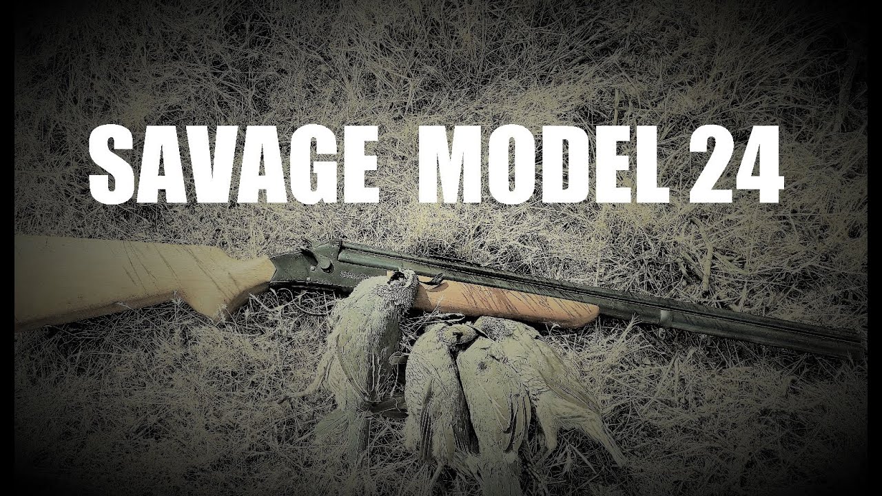 SAVAGE MODEL 24: Моё любимое комбинированное оружие