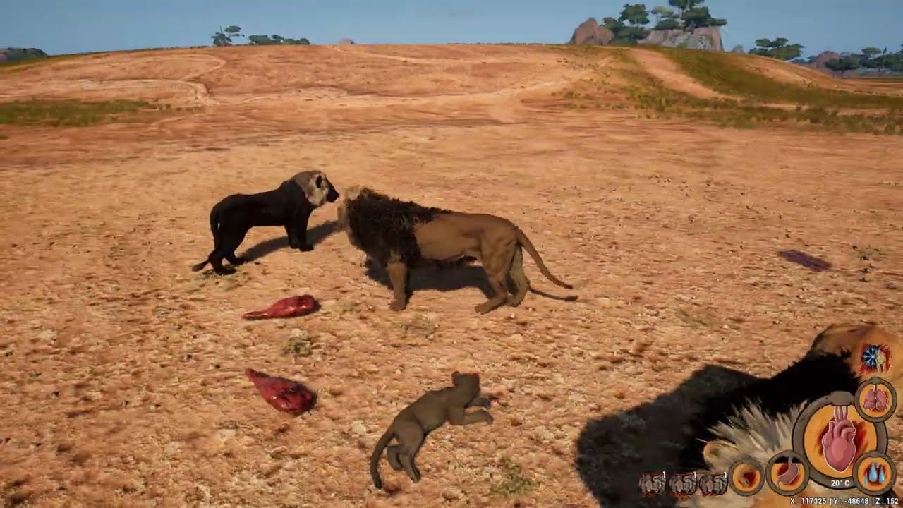 Como um Filhote Comum se Tornou Líder de um Bando? | Vida de Leão - Gameplay - Animalia Survival