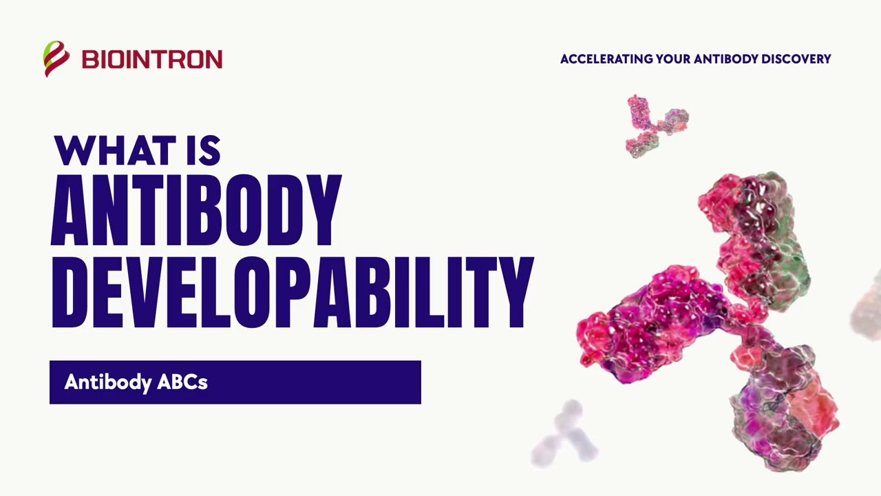 Antibody ABCs: Antibody Developability