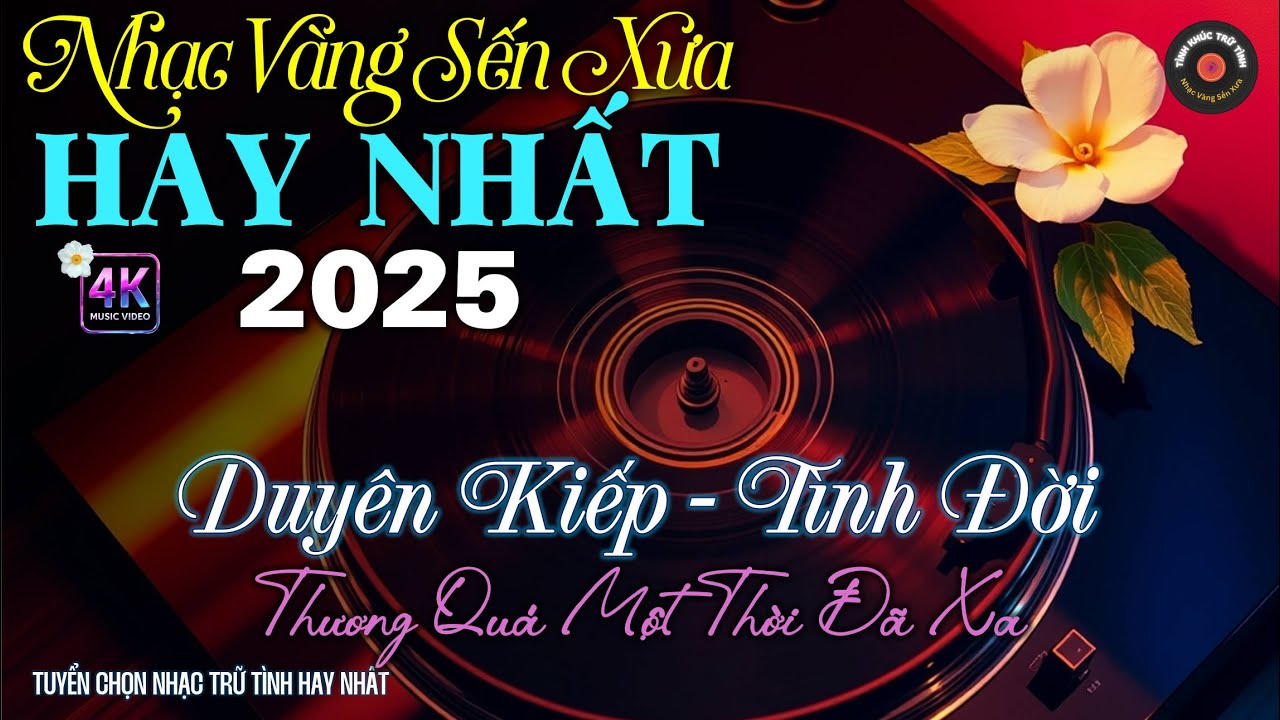 Nhạc TÌNH CA BOLERO Trữ Tình HAY NHẤT 2025 - Nhạc Vàng Sến Xưa Chọn Lọc Tâm Trạng SAY ĐẮM LÒNG NGƯỜI