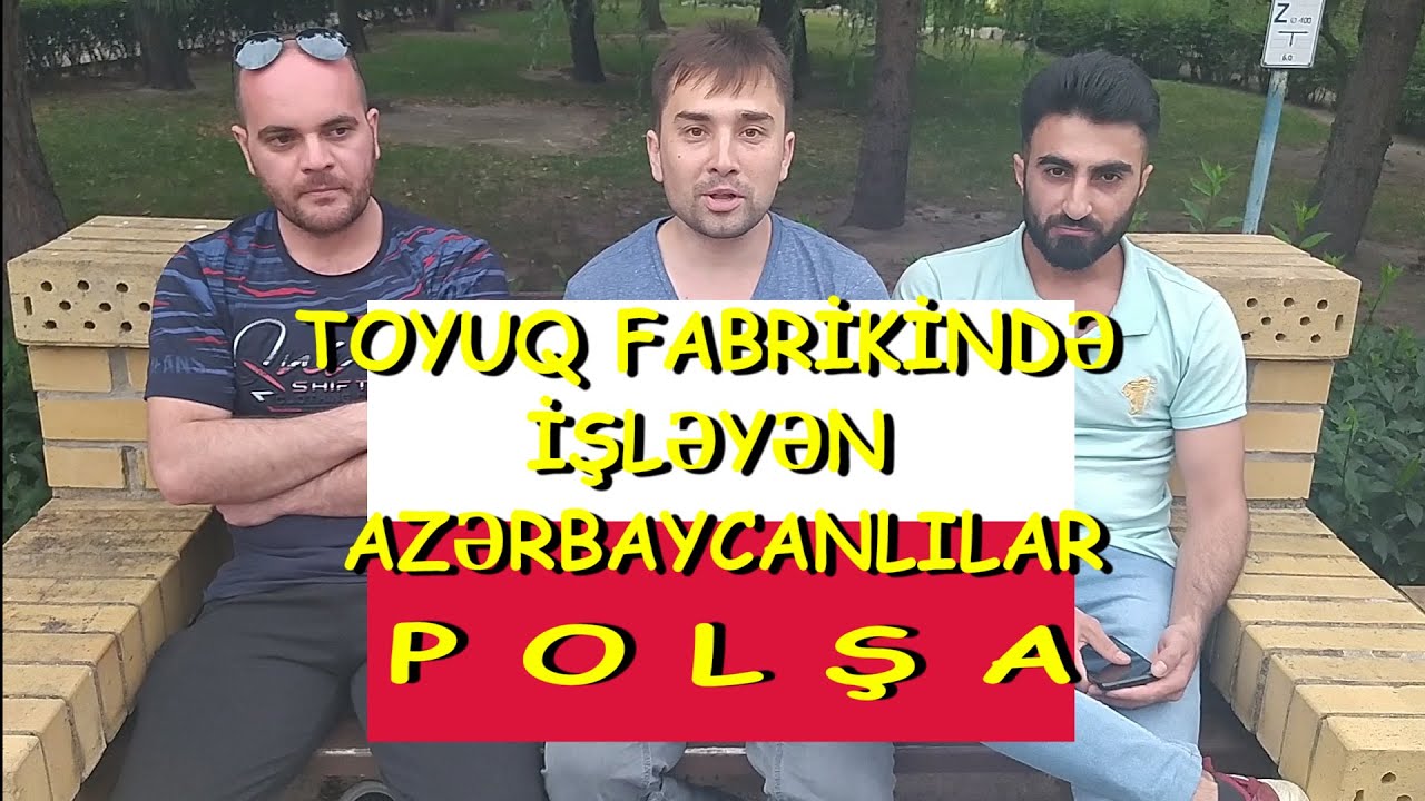 Polşada toyuq fabrikində işləyən azərbaycanlılar: maaş, şərait, münasibət