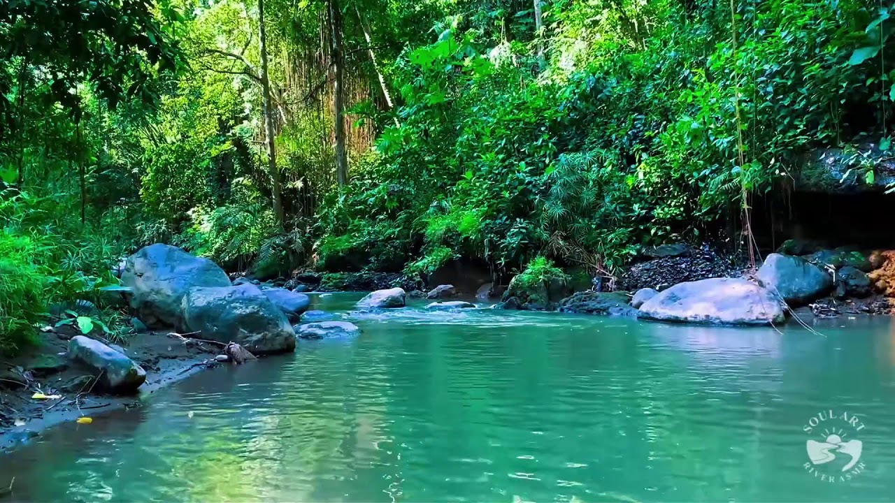 River Through Dense Forest | Calm Natural Water Ambience for Night Sleep