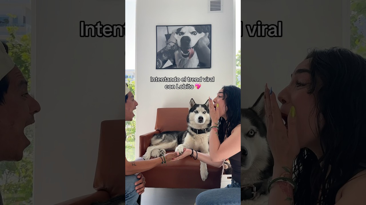 No se imaginan cu&aacute;nto lo amamos! 🥹🐺💖