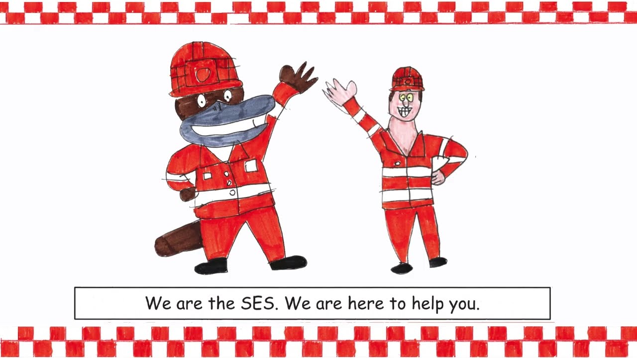 SES (State Emergency Services)