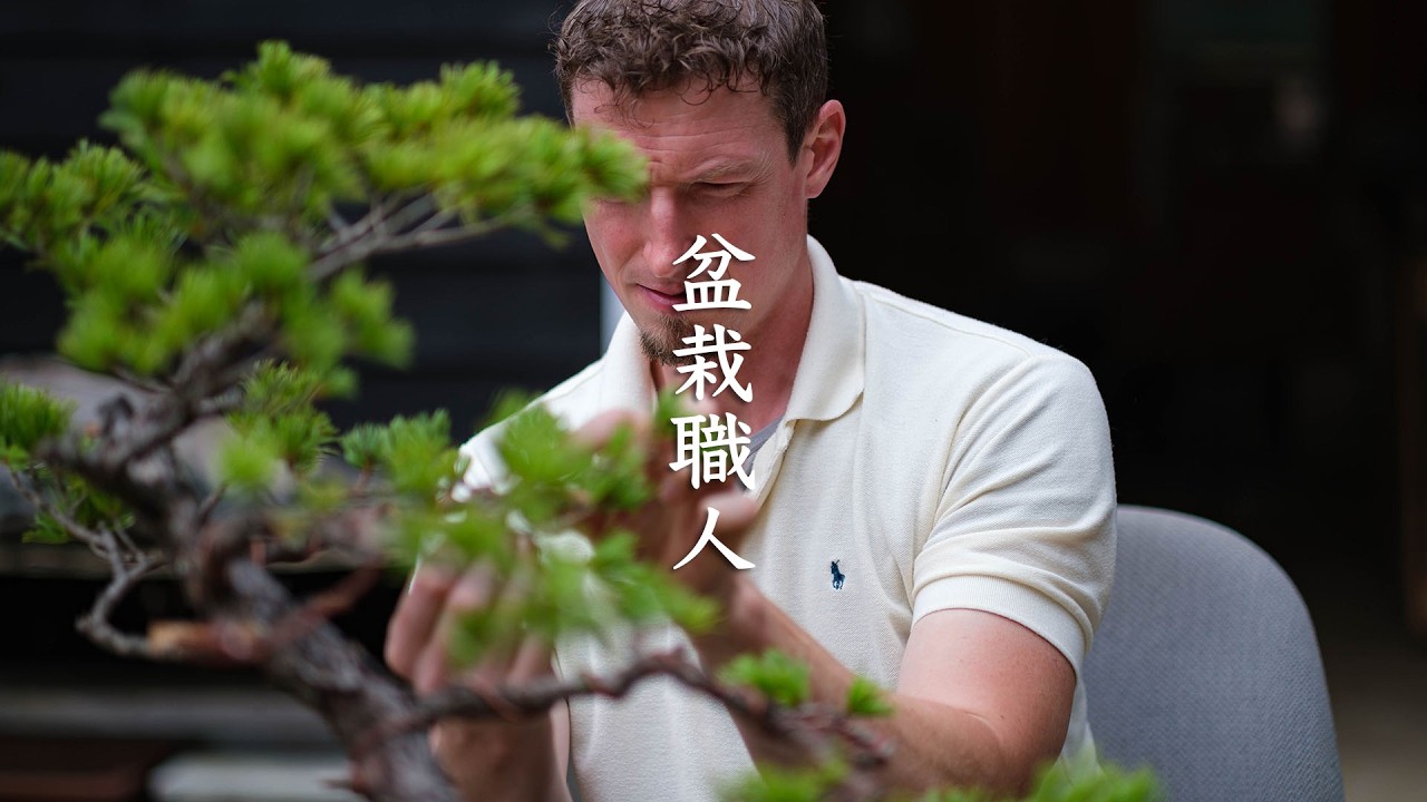 Adam Jones, a Bonsai Master in Japan