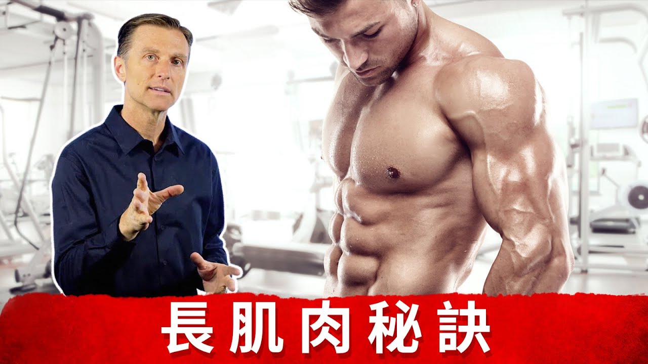 增加肌肉的鍛鍊秘訣, 生酮飲食健美肌肉.柏格醫生dr berg