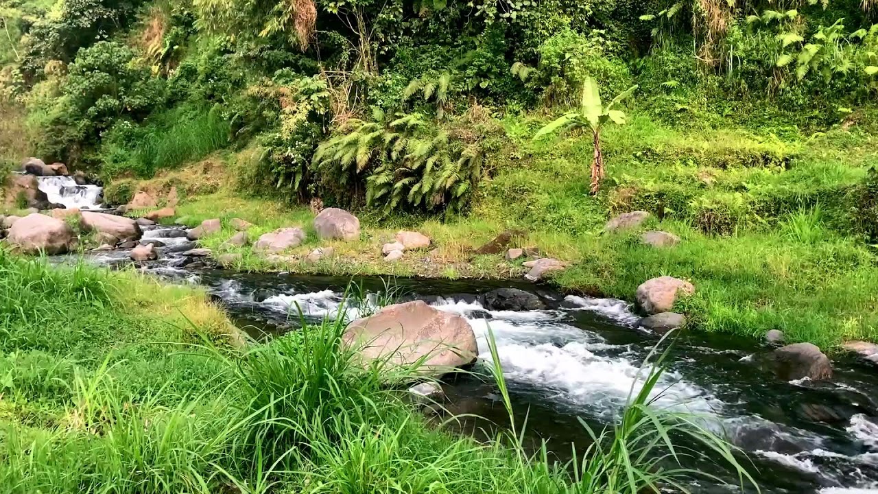 Gentle River Vibes for Cognitive Performance, Relaxation, Massage