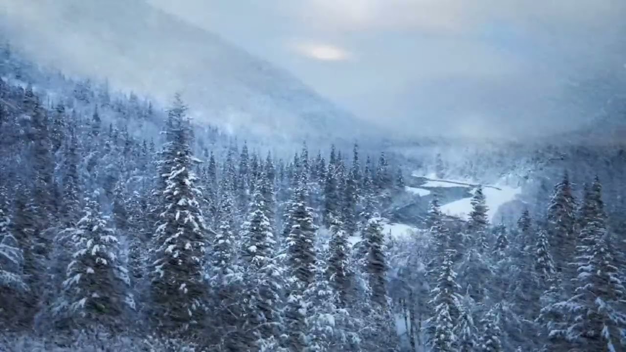 겨울에 듣는 음악:  화해의 눈물 When Long-held Sorrows Melt Away (Genesis 44)