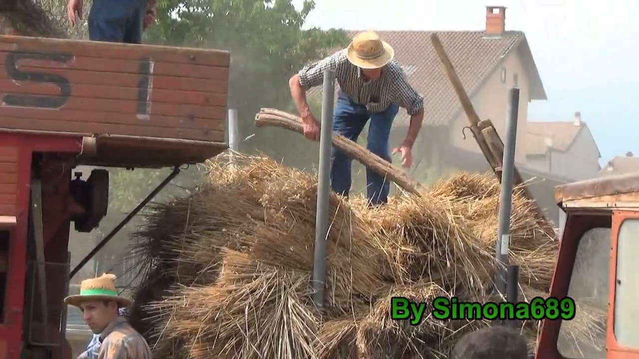 Trattori e Trebbiatura con Macchinari d'Epoca, Trattore a Vapore, Bosconero