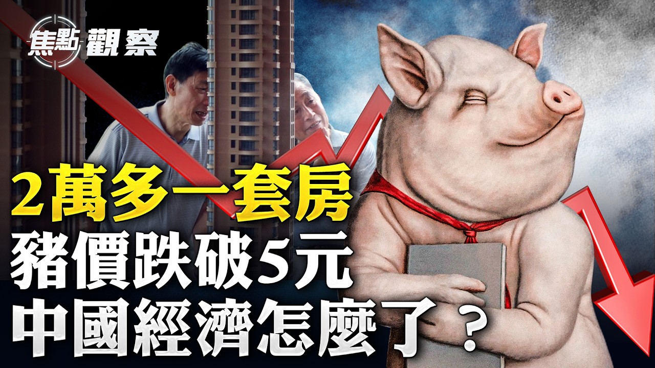房子比手機還便宜！豬價跌回4元時代 中國經濟出大事了！【#焦點觀察】3月27日
