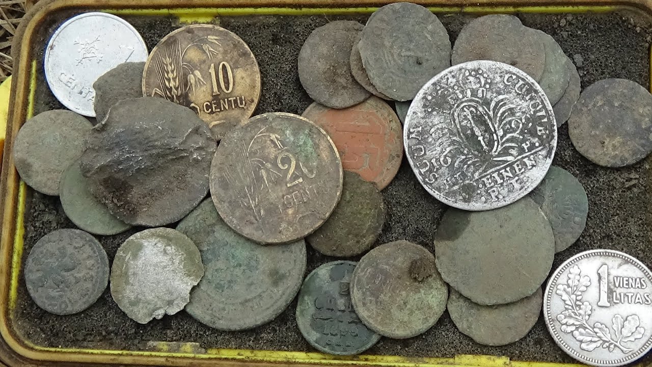Svečiuose Monetų Razbainykas