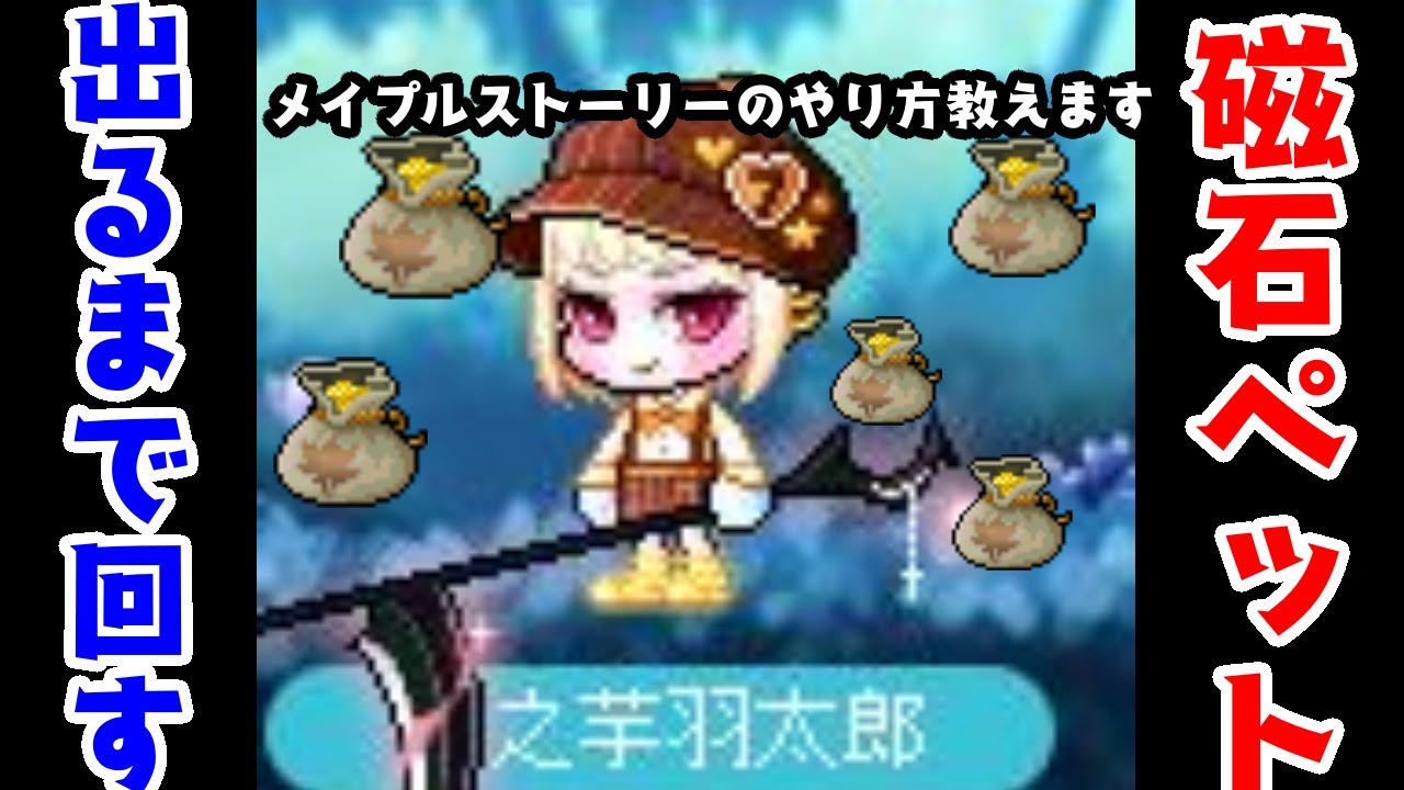 【メイプルストーリー】〇万円！？磁石ペット出るまで回した結果...