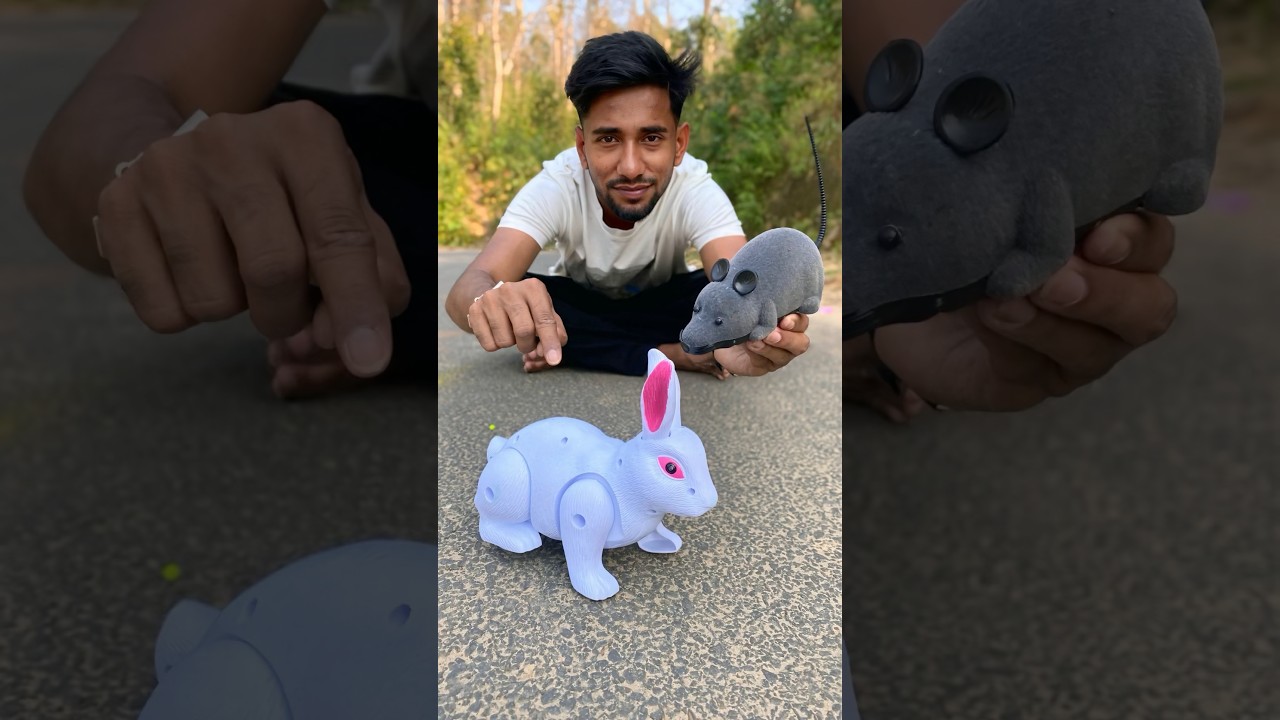 RC Mouse 🐁 and Rabbit Unboxing