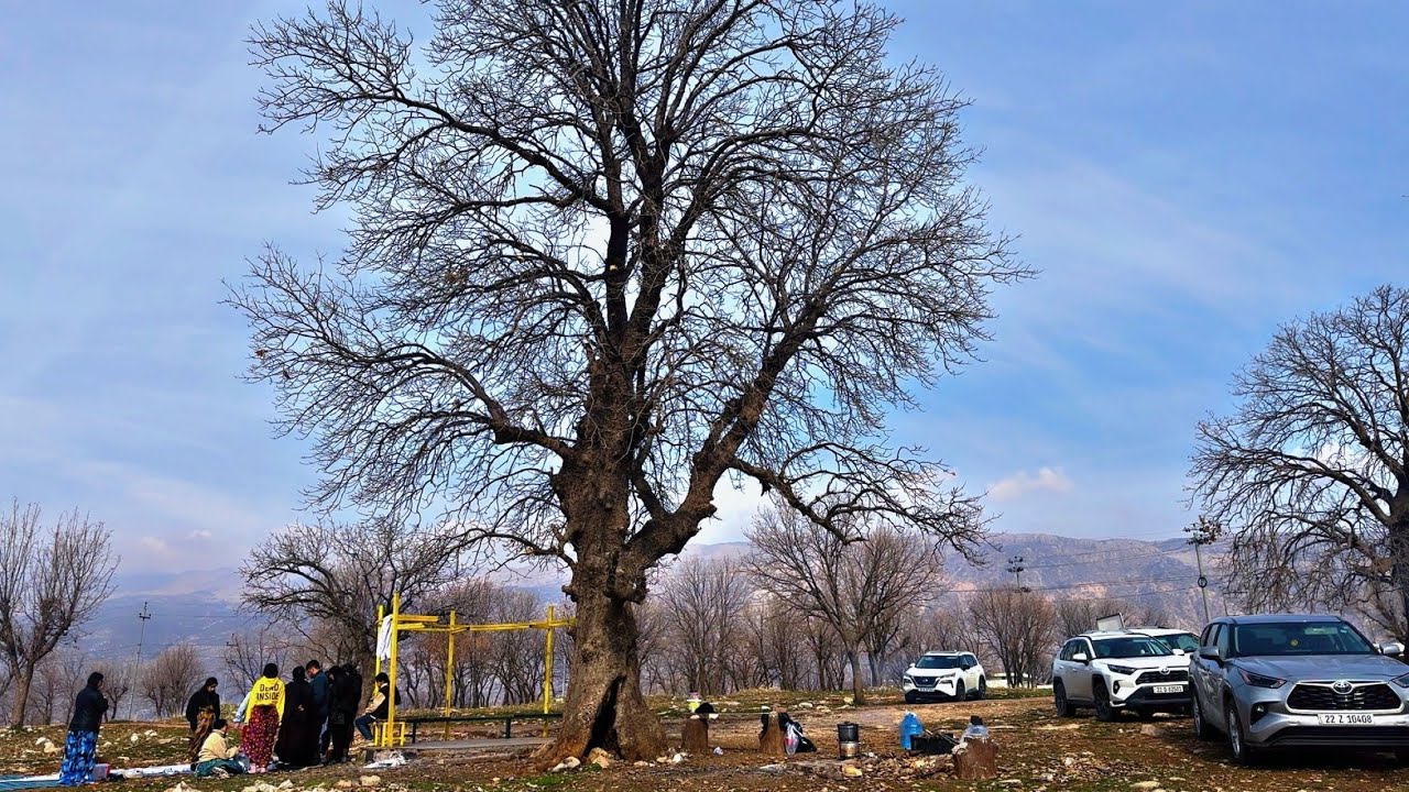 بە خێر بێن بۆ دەڤەری بارزان 