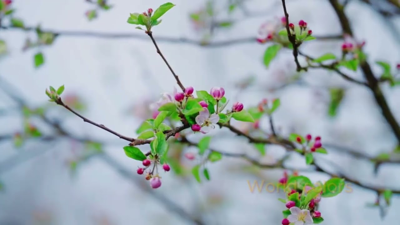 Xua tan căng thẳng  Thư giãn sau ngày dài mệt mỏi